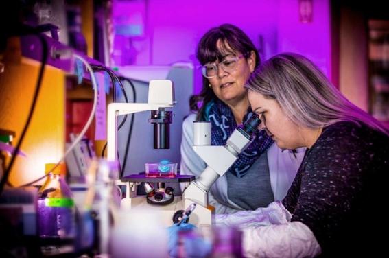 Dr. Jennifer Nyland with graduate student Jessica Strange