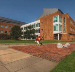 Sammy statue at the angle