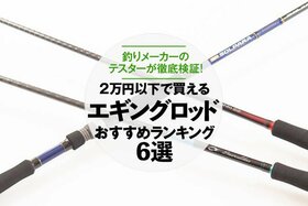 エギングロッドのおすすめランキング6選。釣りメーカーのテスターが人気商品を徹底比較