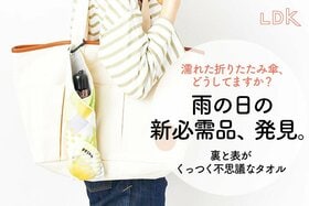 【雨の日の新必需品】濡れた折り畳み傘、くっつきタオルに包んだら最強だった【LDK】