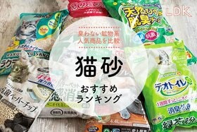 猫砂のおすすめランキング13選。臭わない&固まる鉱物系人気商品をLDKが比較