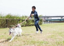 今、ペットの首輪に付けるべきは「落とし物防止タグ」でした