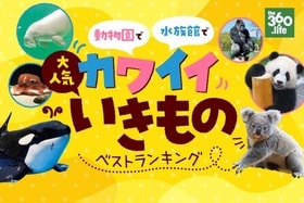 かわいい動物・いきもの人気ランキング30選。動物園・水族館で会える！