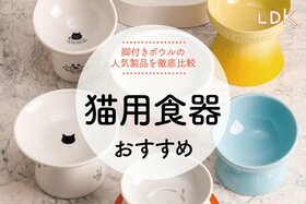 【2022年】猫用食器のおすすめおすすめ5選。脚付フードボウルの人気製品を徹底比較