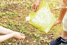 セリアのおすすめキャンプグッズ