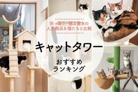 キャットタワーのおすすめランキング。LDKが猫と一緒に人気商品を徹底比較