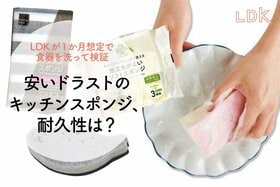 安くてもすぐヘタるのはNG！ドラストPBスポンジ、リピ買い推奨のおすすめは？【LDK】