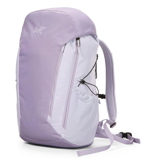 颜色: Velocity/Light Velocity, Arc'teryx | ARC'TERYX  MANTIS 30 BACKPACK