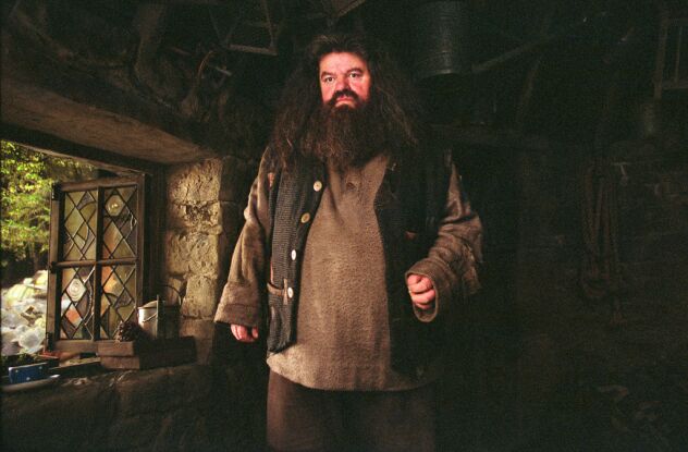 Bild Robbie Coltrane