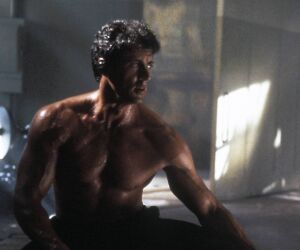 The Specialist: Sylvester Stallone