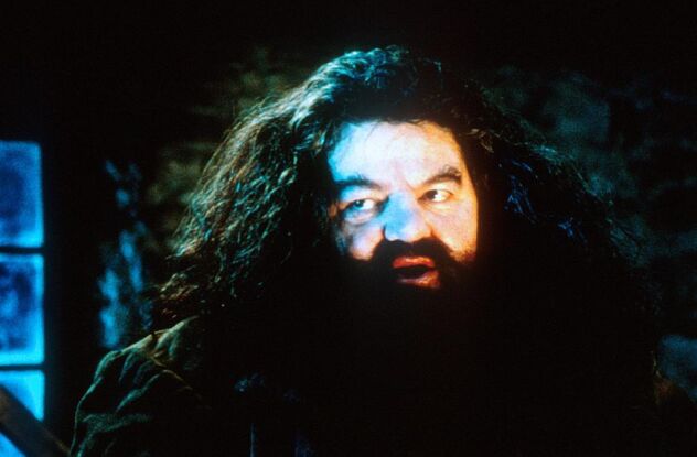 Bild Robbie Coltrane