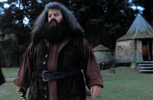 Bild Robbie Coltrane