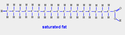 Saturated Fat Molecule