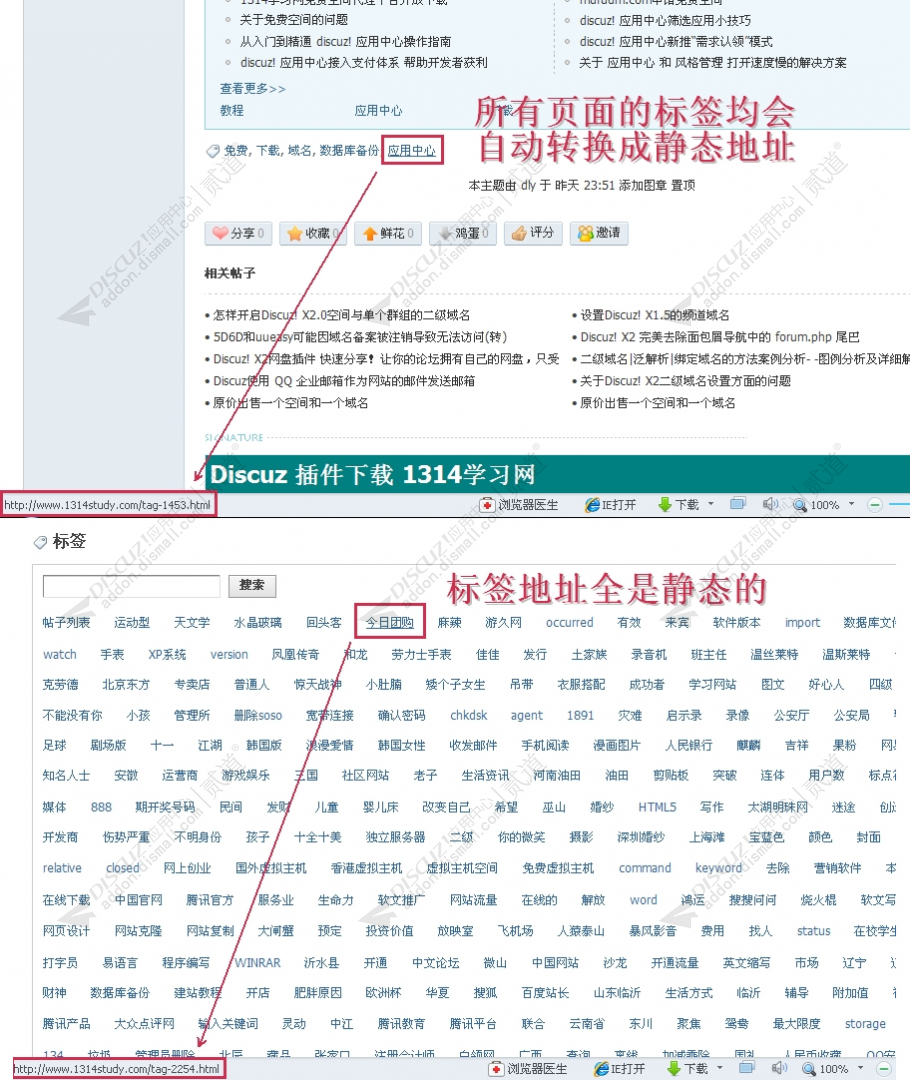 discuz1314SEO标签伪静态截图4