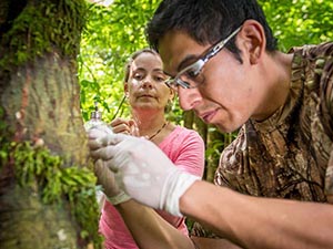 Two researchers working on a project in the woods