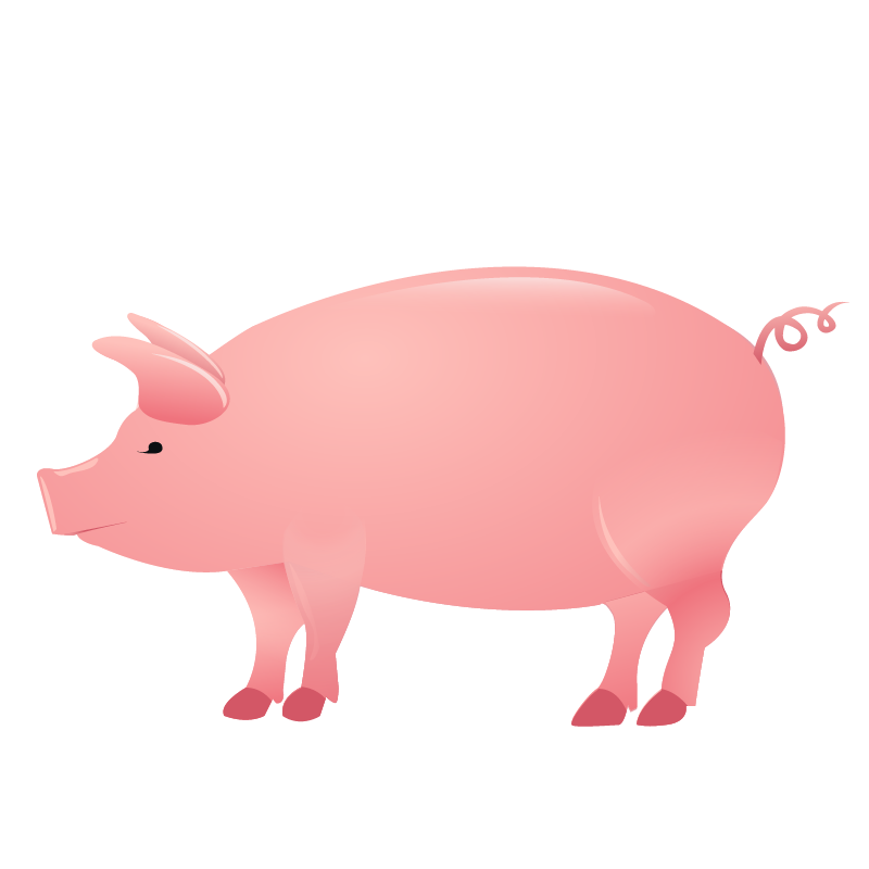 pig