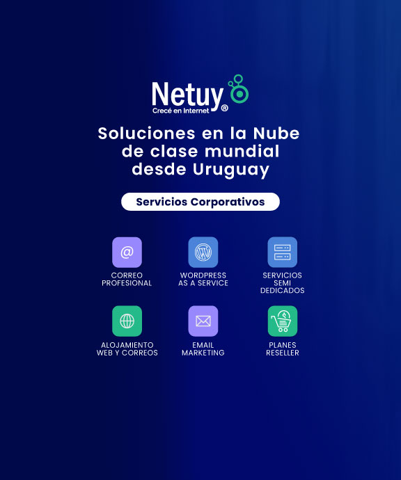 Banner ilustrativo sobre NetUy