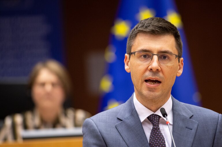 EP Plenary session - 2019-2020 Reports on Bosnia and Herzegovina