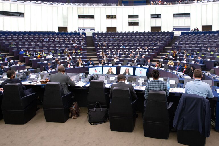 ACP- EU Joint Parliamentary Assembly - Urgent topic No 2: Enhancing the resilience of small island developing states against climate change and natural