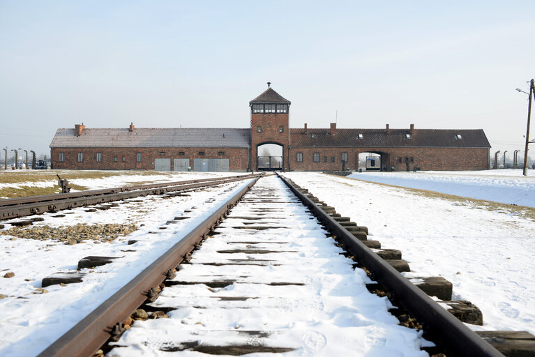 Auschwitz-Birkenau concentration camp - Some views of the Auschwitz-Birkenau old concentration camps - Several visitors inside the Auschwitz-Birkenau concentration camp