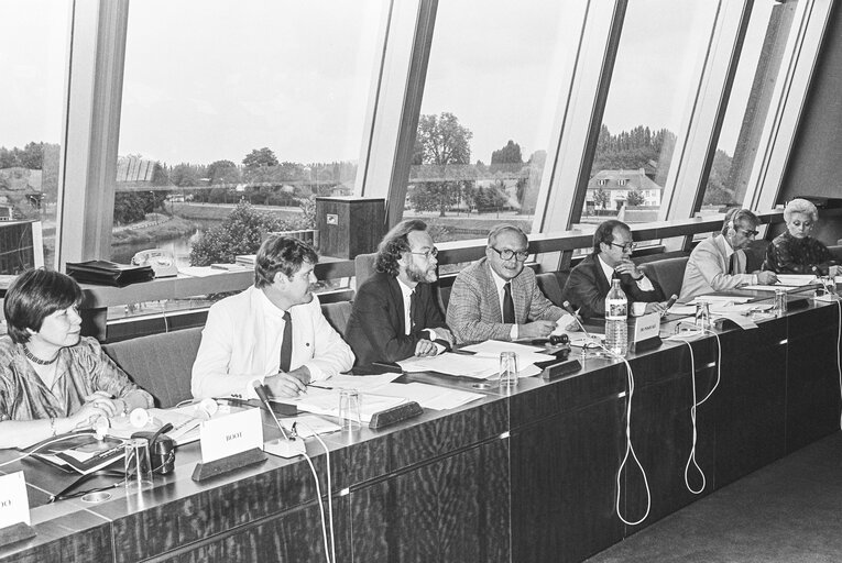 Nuotrauka 14: Meeting at the European Parliament in Strasbourg