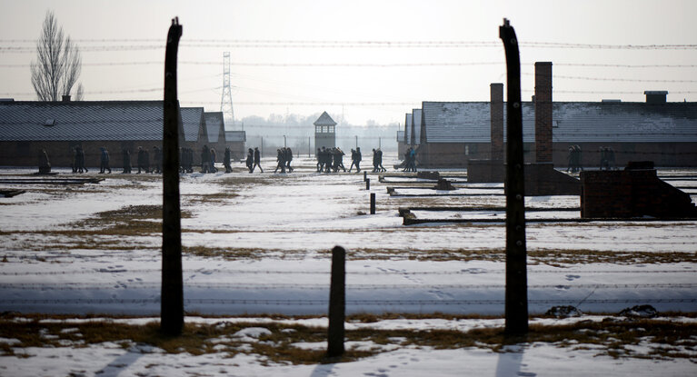 Auschwitz-Birkenau concentration camp - Some views of the Auschwitz-Birkenau old concentration camps - Several visitors inside the Auschwitz-Birkenau concentration camp