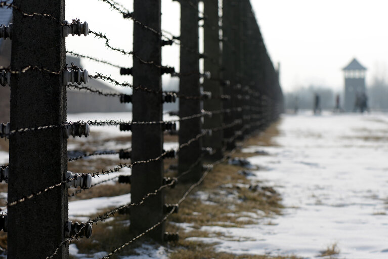 Auschwitz-Birkenau concentration camp - Some views of the Auschwitz-Birkenau old concentration camps - Several visitors inside the Auschwitz-Birkenau concentration camp