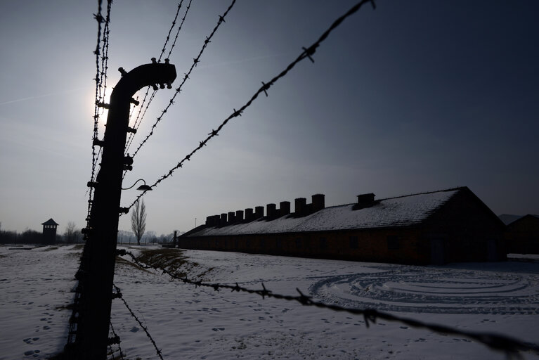 Auschwitz-Birkenau concentration camp - Some views of the Auschwitz-Birkenau old concentration camps - Several visitors inside the Auschwitz-Birkenau concentration camp