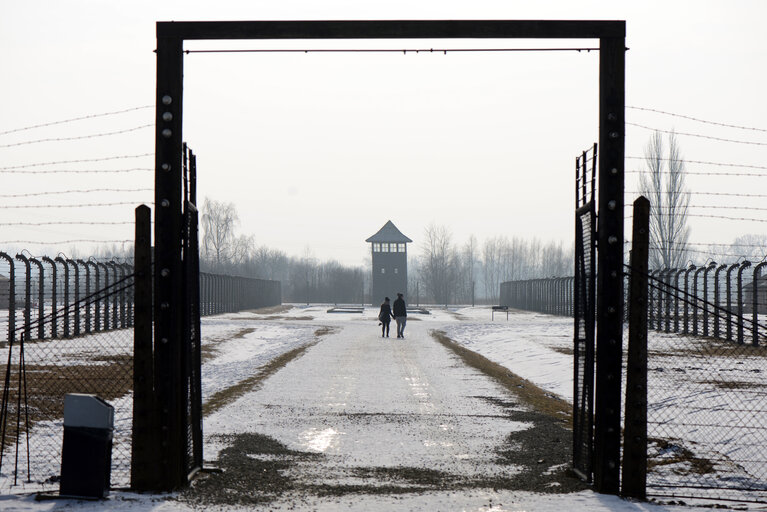 Auschwitz-Birkenau concentration camp - Some views of the Auschwitz-Birkenau old concentration camps - Several visitors inside the Auschwitz-Birkenau concentration camp