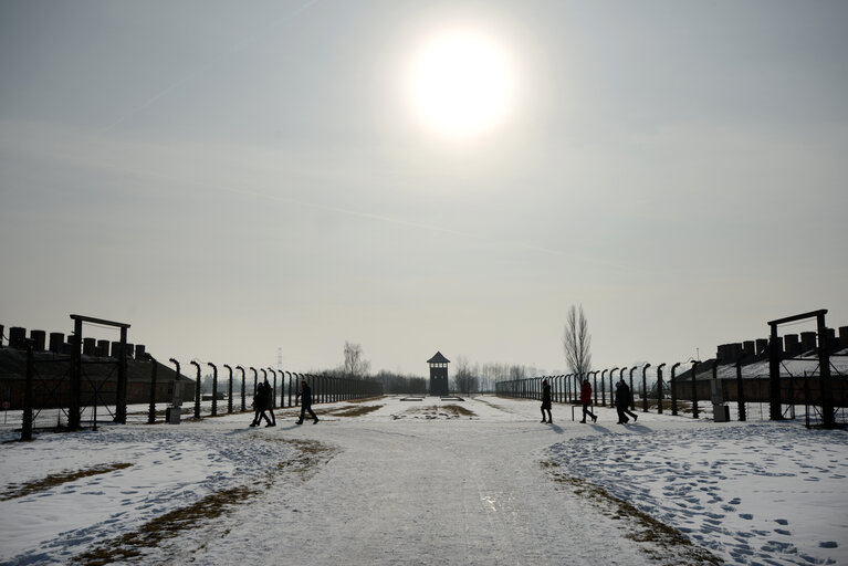 Auschwitz-Birkenau concentration camp - Some views of the Auschwitz-Birkenau old concentration camps - Several visitors inside the Auschwitz-Birkenau concentration camp