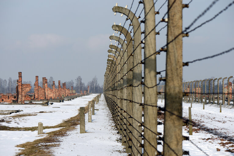 Auschwitz-Birkenau concentration camp - Some views of the Auschwitz-Birkenau old concentration camps - Several visitors inside the Auschwitz-Birkenau concentration camp