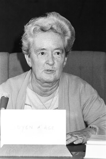 Nuotrauka 3: Meeting at the European Parliament in Strasbourg in July 1984