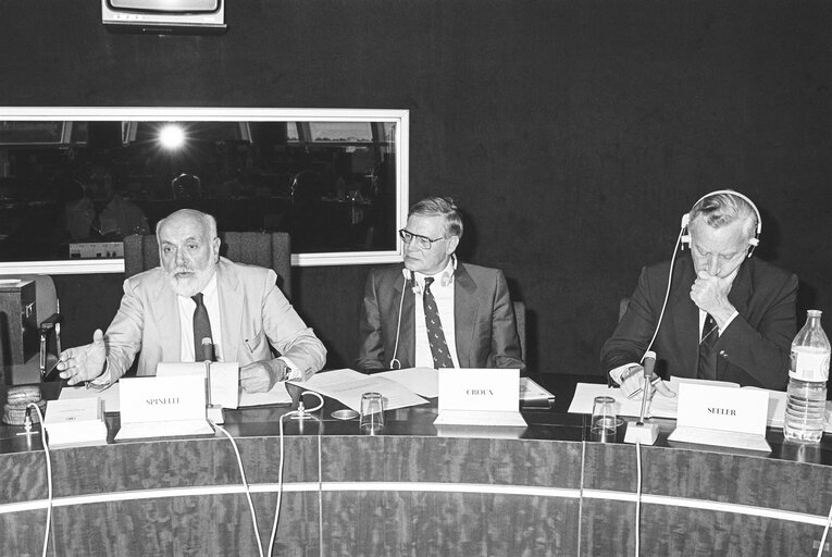 Nuotrauka 7: Meeting at the European Parliament in Strasbourg in July 1984