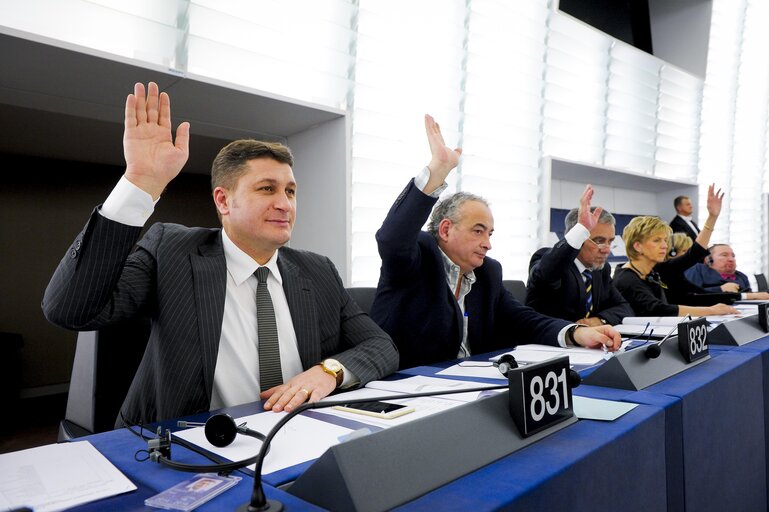 Mihai TURCANU in plenary session week 48 2015 in Strasbourg during votes