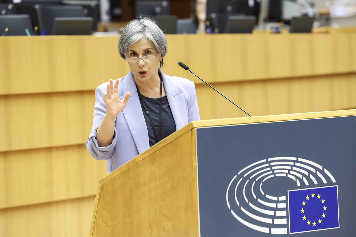 EP Plenary session - 2021 Report on Albania