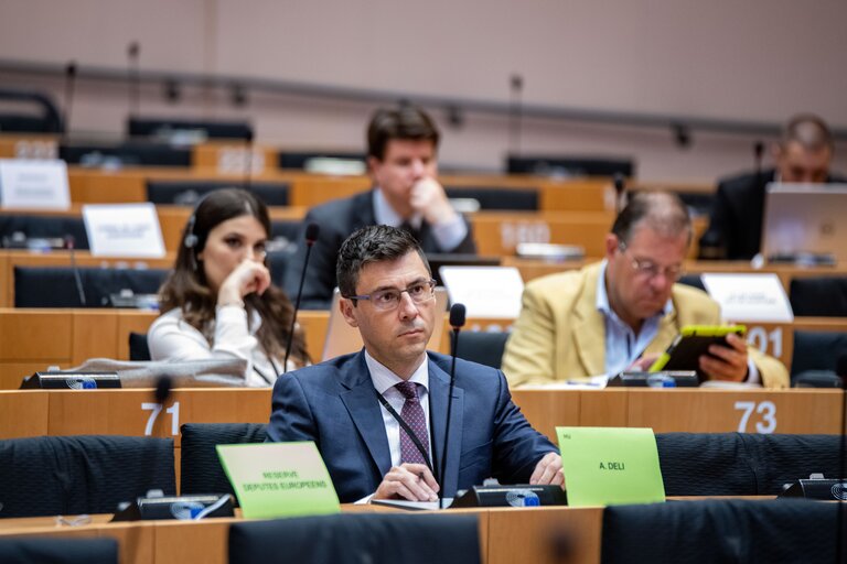 Photo 2 : AFET - Delegation to the EU-Montenegro Stabilisation and Association Parliamentary Committee - Exchange of views on the formation of the new minority government in Montenegro and the way ahead