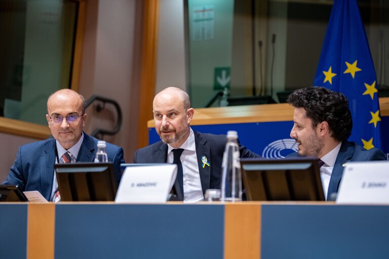 Photo 22 : AFET - Delegation to the EU-Montenegro Stabilisation and Association Parliamentary Committee - Exchange of views on the formation of the new minority government in Montenegro and the way ahead