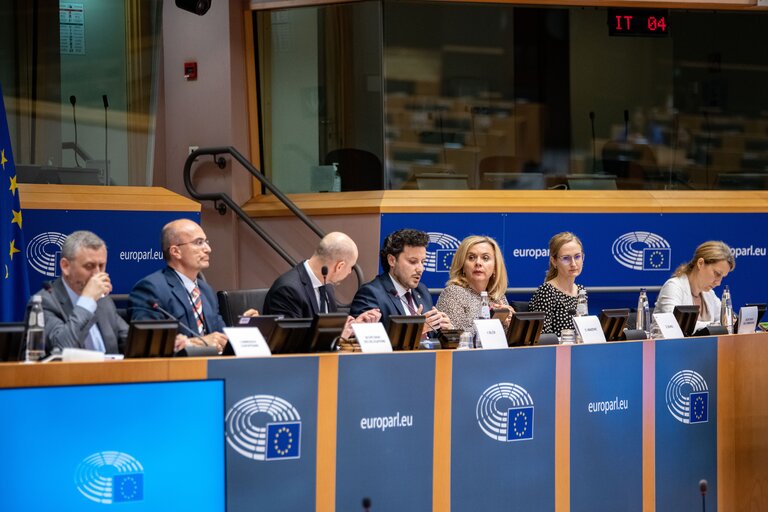 Photo 5 : AFET - Delegation to the EU-Montenegro Stabilisation and Association Parliamentary Committee - Exchange of views on the formation of the new minority government in Montenegro and the way ahead