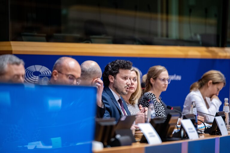 Photo 4 : AFET - Delegation to the EU-Montenegro Stabilisation and Association Parliamentary Committee - Exchange of views on the formation of the new minority government in Montenegro and the way ahead