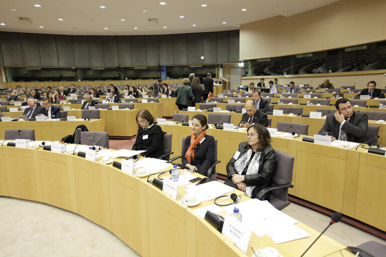 EU-Turkey Joint Parliamentary Committee