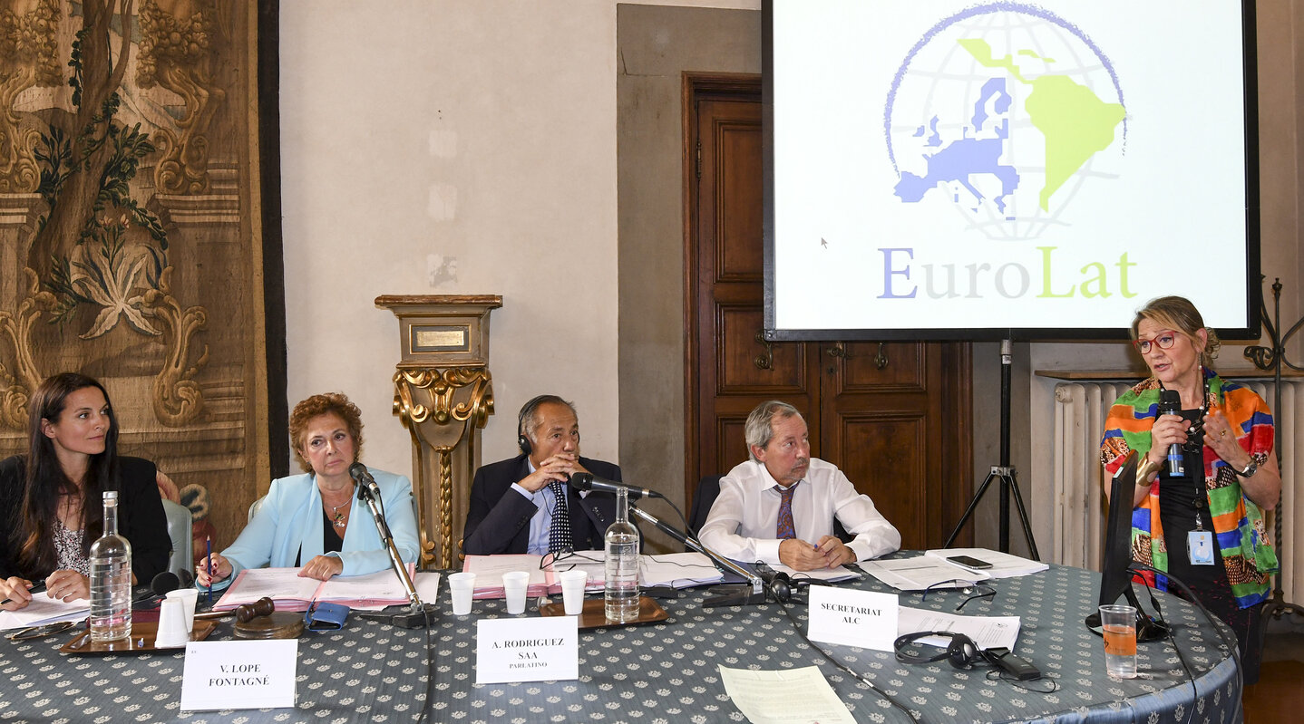 Euro-Latin American Parliamentary Assembly. Meetings of the Standing parliamentary Committees on the occasion of the 60th Anniversary of the Treaty of Rome – Palazzo Medici Riccardi – Sala Pistelli, on Tuesday May 23, 2017. Meeting of the Committee on Economic, Financial and Commercial Affairs