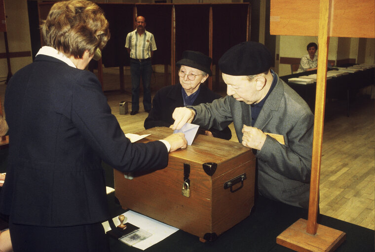 European election of June 1984 in France