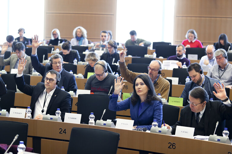 BUDG committee - Vote on the next MFF : Preparing the Parliament’s position on the MFF post-2020.Vote on the reform of the European Union’s system of own resources