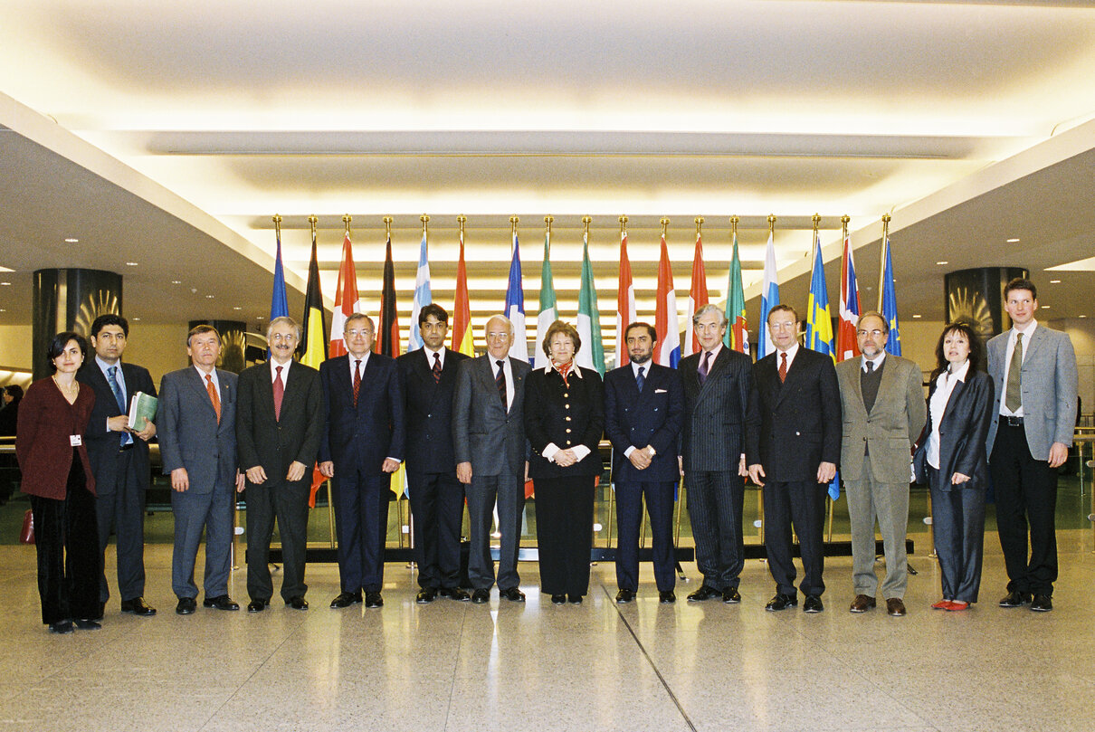 The MEPs Alain LAMASSOURE, Philippe MORILLON, Baroness NICHOLSON OF WINTERBOURNE, M ABDOULLAH, Geoffrey VAN ORDEN pose for a group photo in Brussels in March 2002.