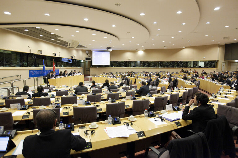 EU-Turkey Joint Parliamentary Committee