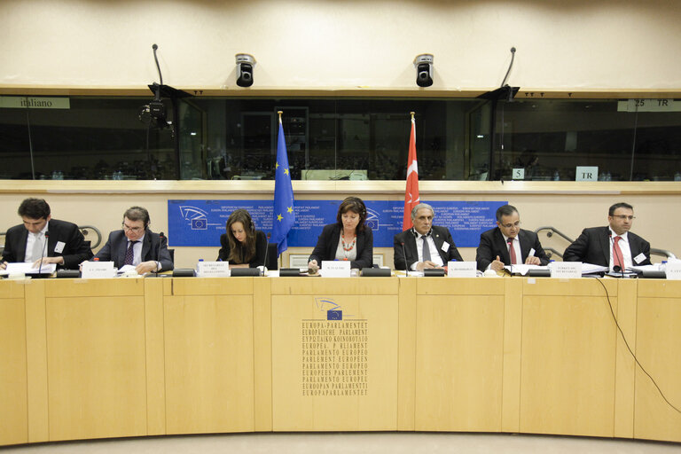 EU-Turkey Joint Parliamentary Committee