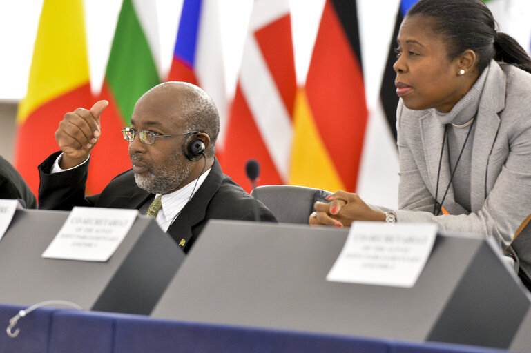 28th ACP-EU Joint Parliamentary assembly in  Strasbourg - Vote on the motions for resolution included in the reports submitted by the three standing committees