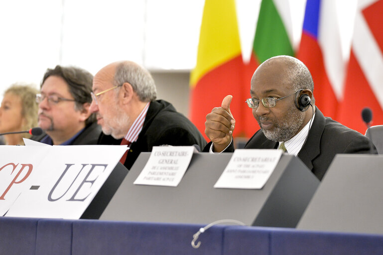 28th ACP-EU Joint Parliamentary assembly in  Strasbourg - Vote on the motions for resolution included in the reports submitted by the three standing committees