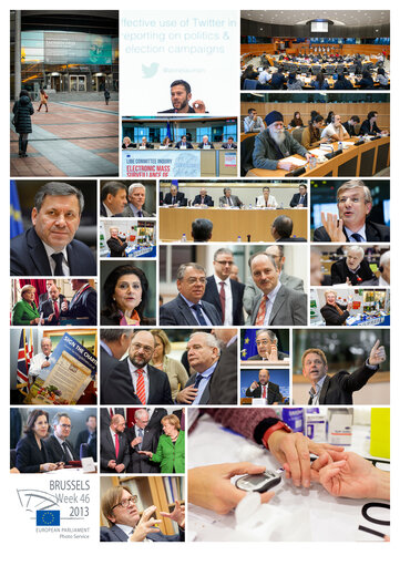 Selection of the week 46 - 2013 in Brussels in 24 images