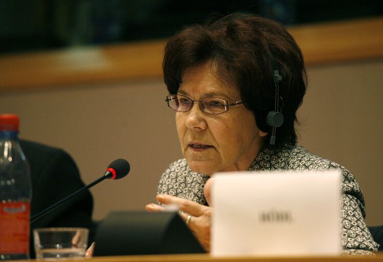 MEP Nina SKOTTOVA attends a meeting in Brussels